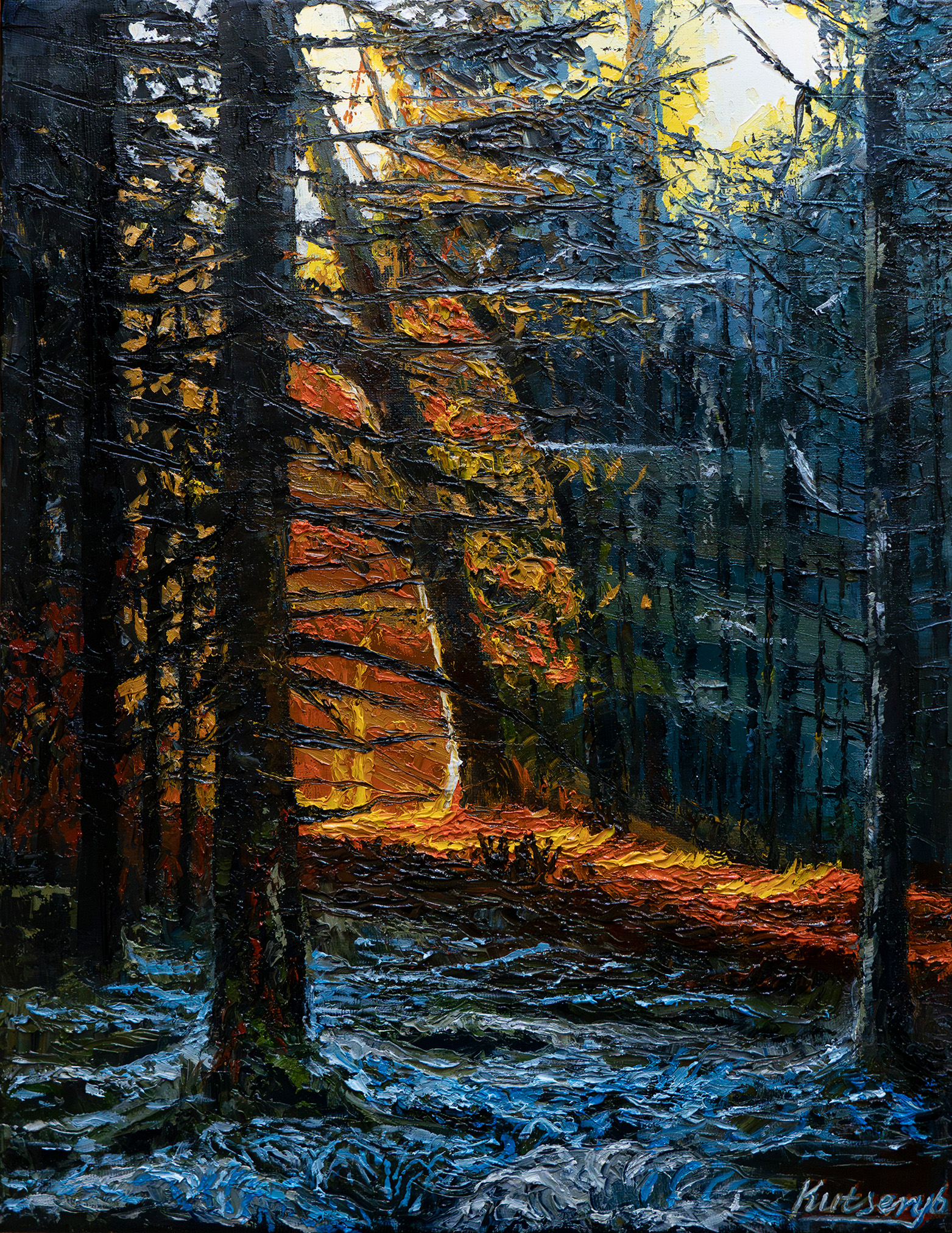 Forest Ablaze With Light